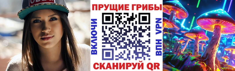 Псилоцибиновые грибы Psilocybe где купить наркоту Верея